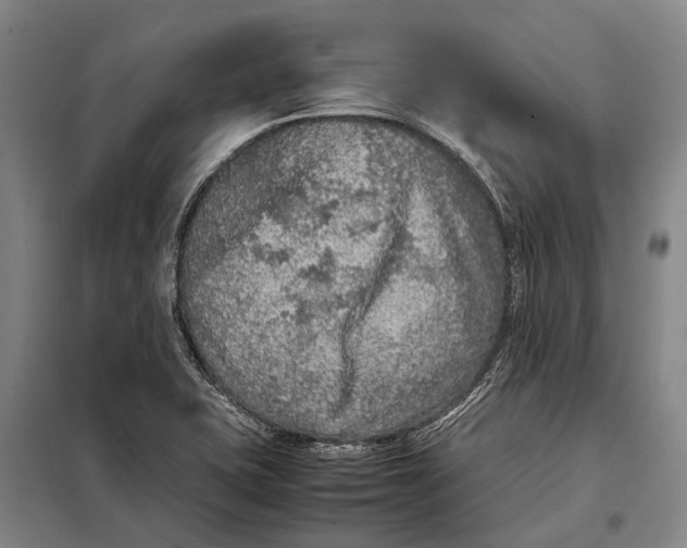 X0000097921415200804041513