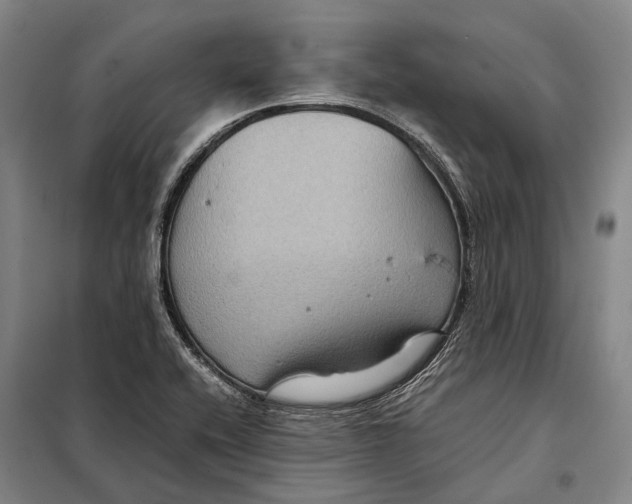 X0000097921416200804041513