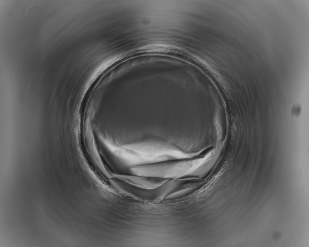 X0000097921418200804041513