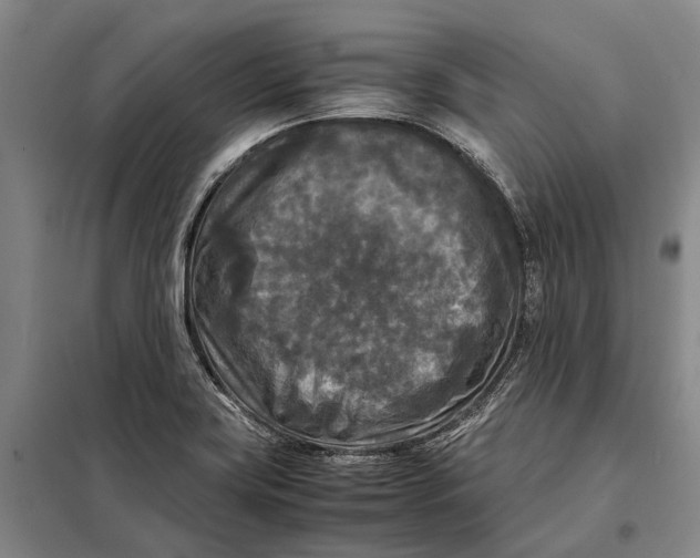 X0000097921419200804041513