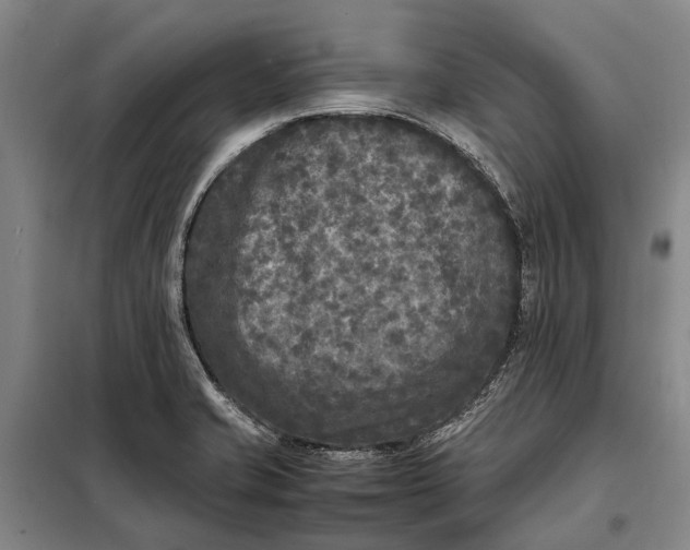 X0000097921421200804041513