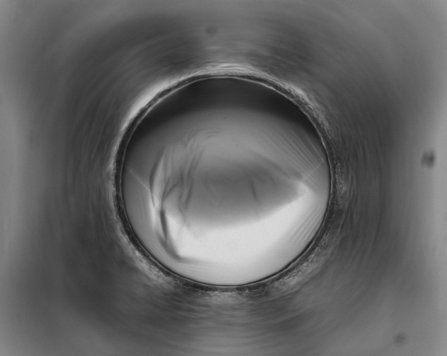 X0000097921422200804041513