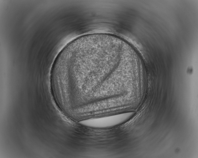 X0000097921423200804041513