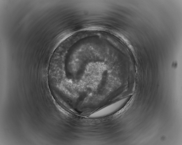 X0000097921425200804041513