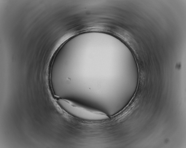 X0000097921426200804041513