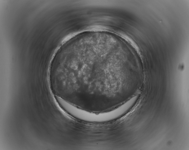 X0000097921429200804041514