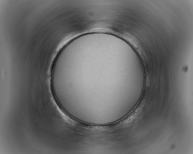 X0000097921430200804041514