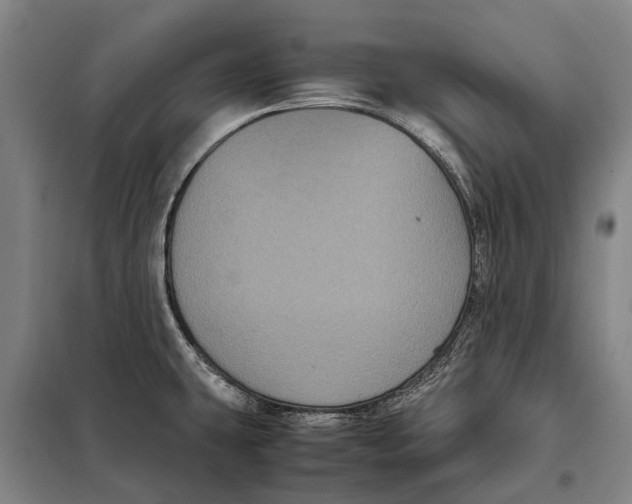 X0000097921431200804041514