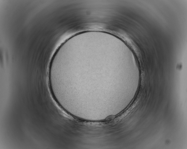 X0000097921432200804041514