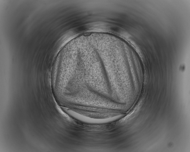 X0000097921433200804041514