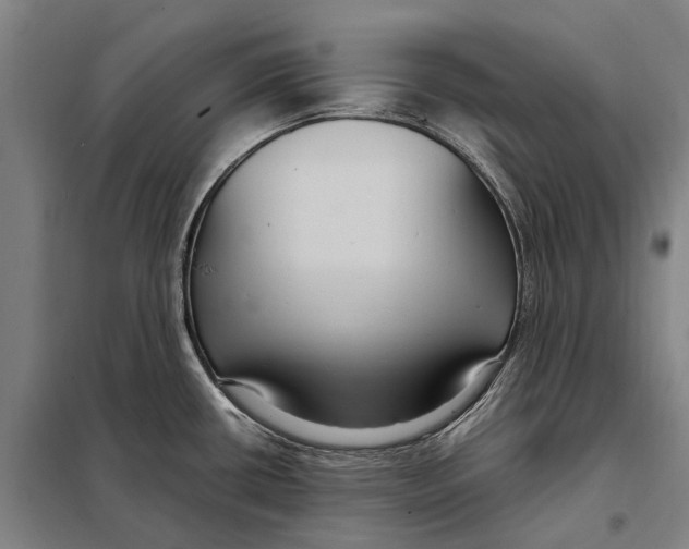 X0000097921434200804041514