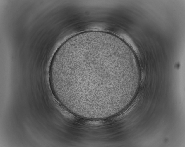 X0000097921435200804041514