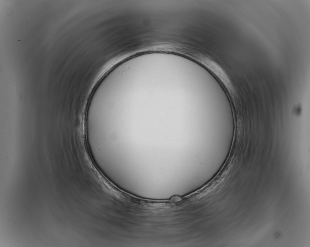 X0000097921436200804041514