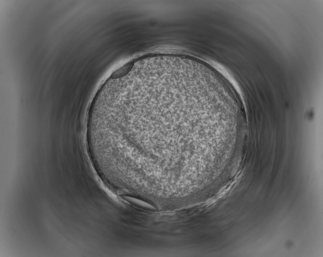 X0000097921437200804041514