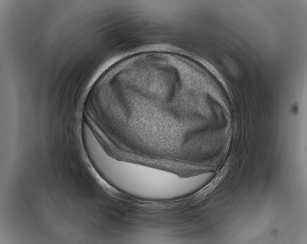 X0000097921438200804041514