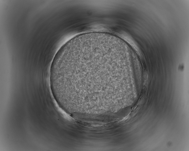 X0000097921439200804041514