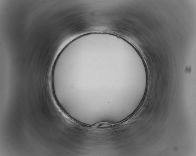 X0000097921440200804041514