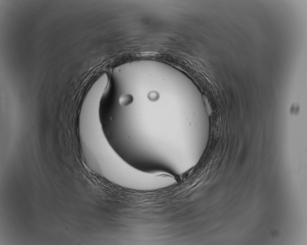 X0000097921441200804041513