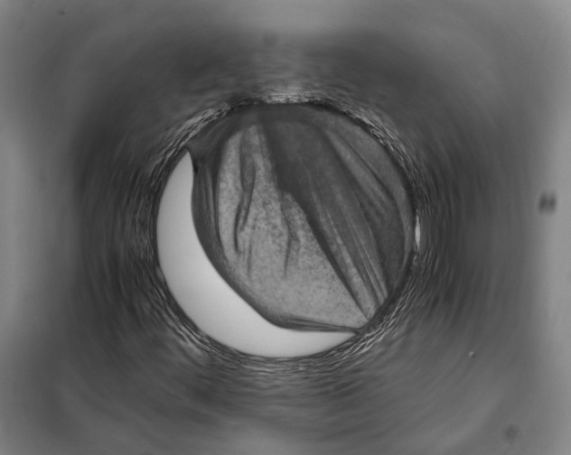 X0000097921444200804041513