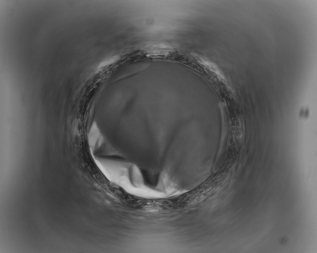 X0000097921445200804041513