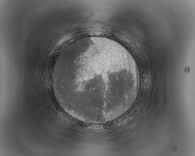 X0000097921446200804041513