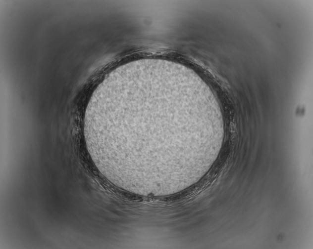 X0000097921447200804041513