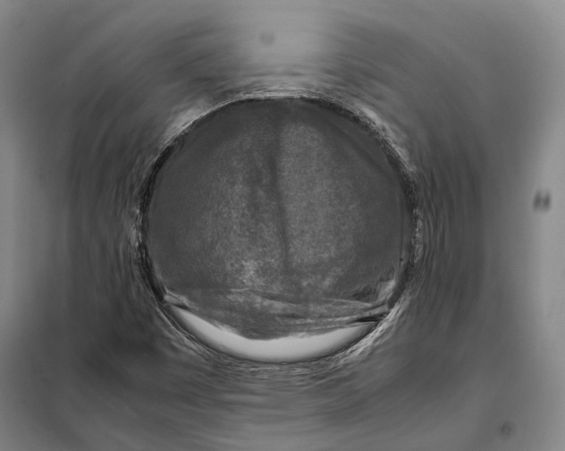 X0000097921449200804041513