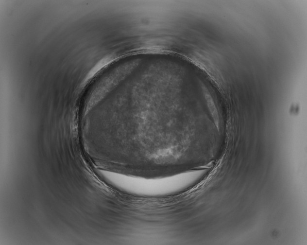 X0000097921450200804041513