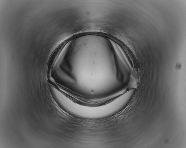 X0000097921452200804041513