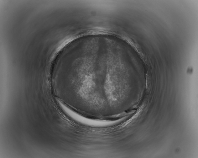 X0000097921453200804041513