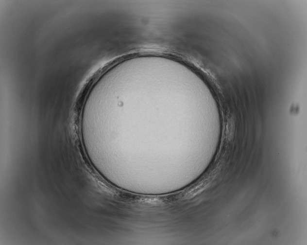 X0000097921454200804041513