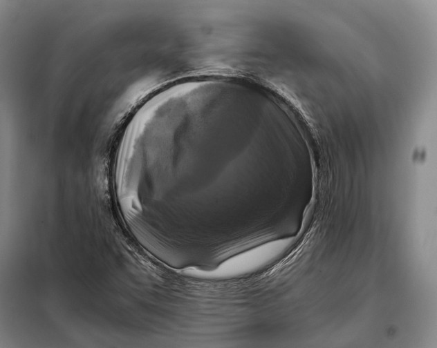 X0000097921455200804041513