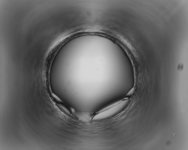 X0000097921456200804041513