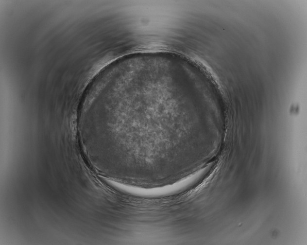 X0000097921457200804041513