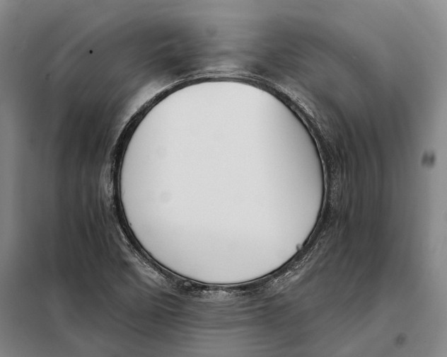 X0000097921458200804041513