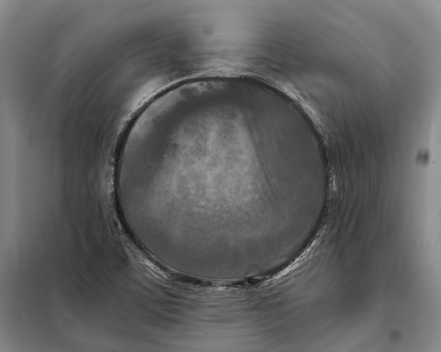 X0000097921459200804041513