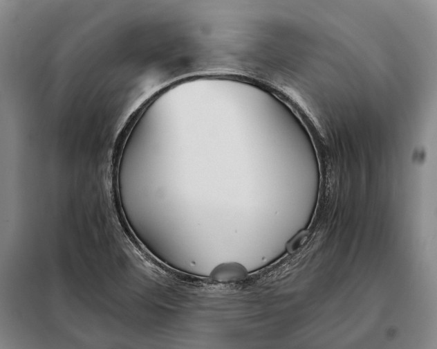 X0000097921460200804041513