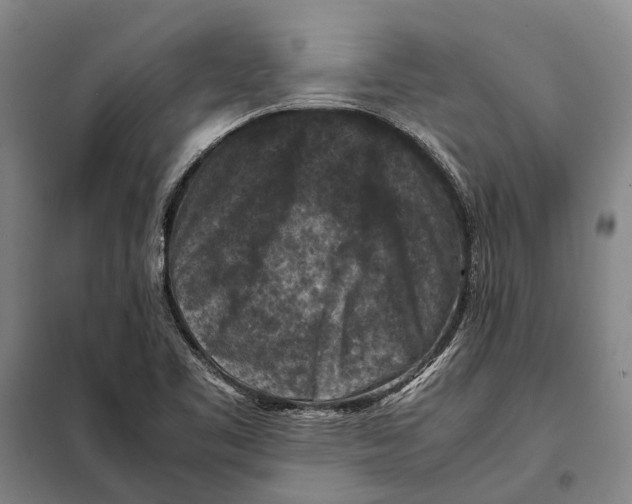 X0000097921461200804041513