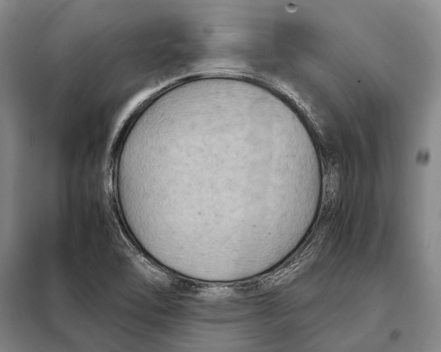 X0000097921462200804041513