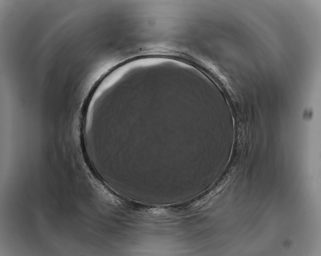 X0000097921463200804041513