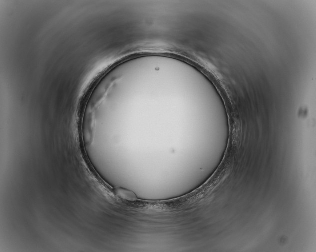 X0000097921464200804041513