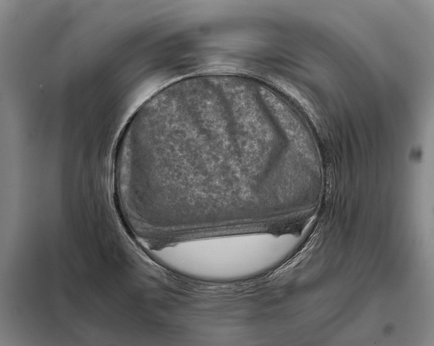 X0000097921467200804041513