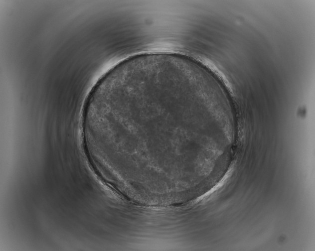 X0000097921469200804041513