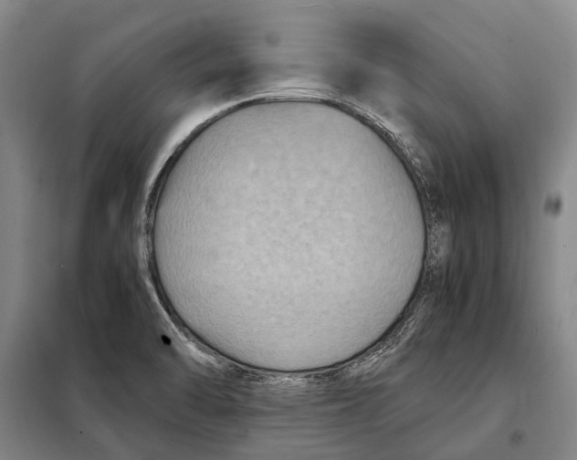 X0000097921470200804041513