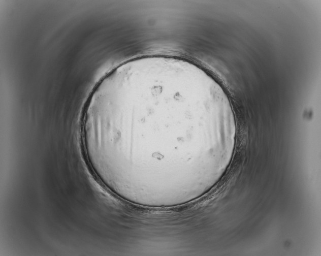 X0000097921471200804041513