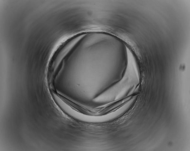 X0000097921472200804041513