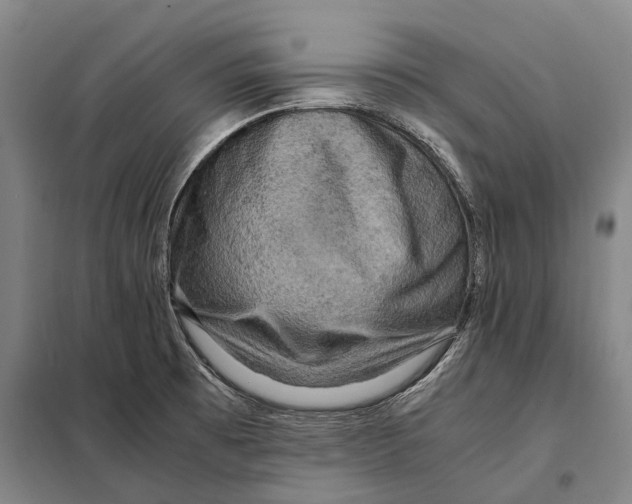 X0000097921473200804041513