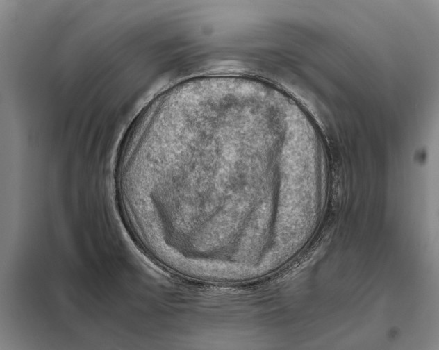 X0000097921475200804041513