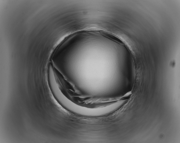 X0000097921476200804041513