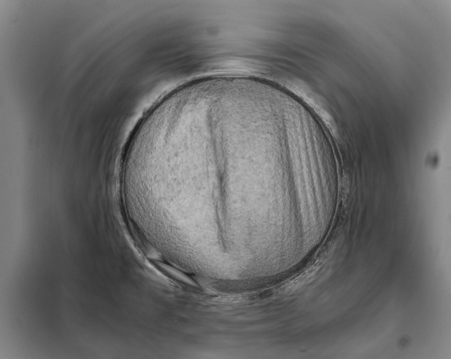 X0000097921477200804041513